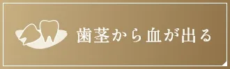 歯茎から血が出る